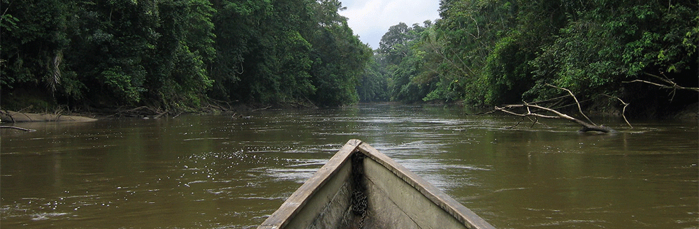 Day 5 - The Amazon
