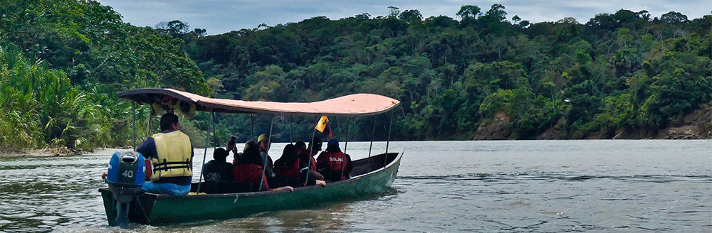 Day 8 - The Amazon river