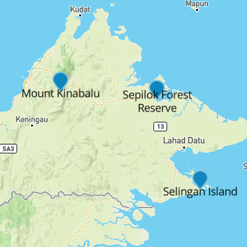 Rugged-Borneo-desc