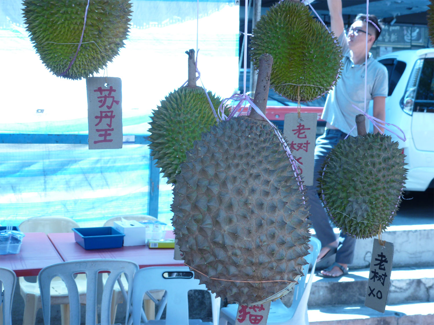 Duran fruit in Penang